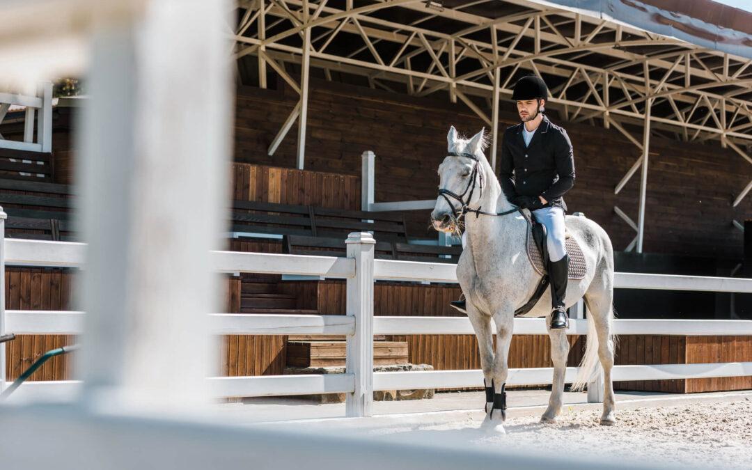 The Essential Guide to Choosing the Best Horse Fencing