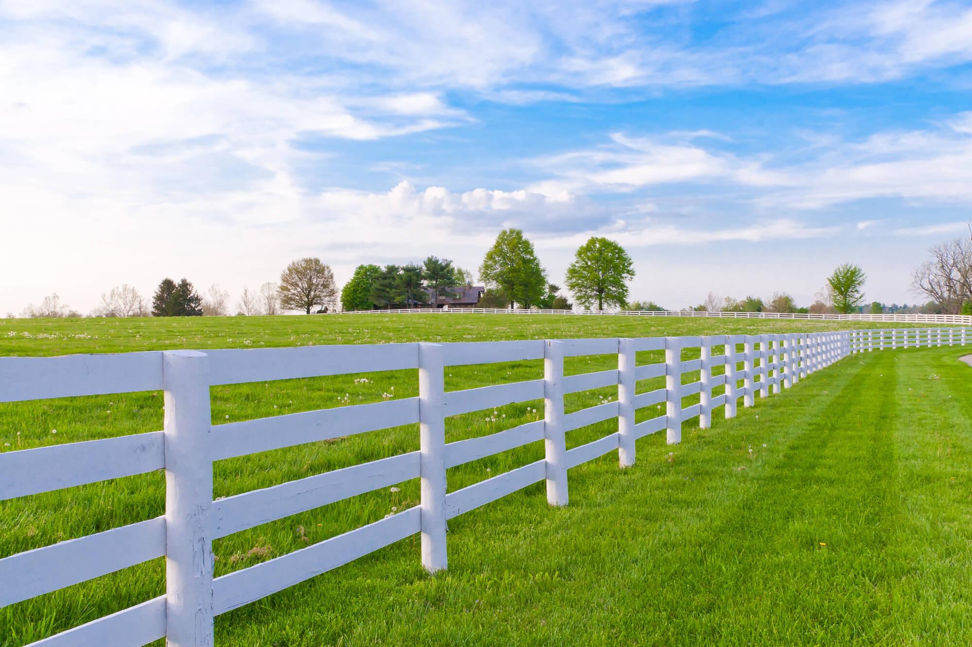 professionally installed horse fencing