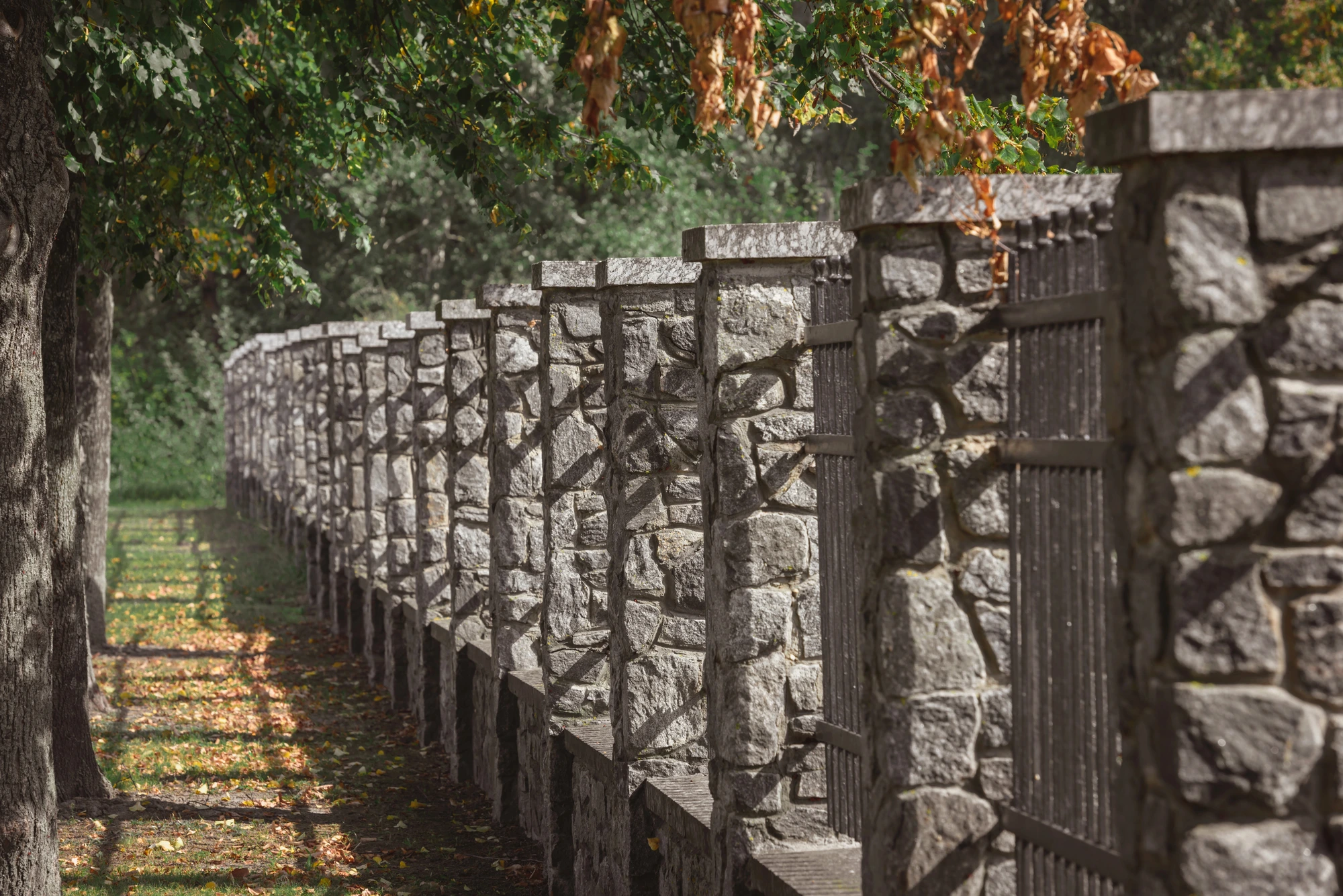 Side view of a beautiful fence after fence repairs