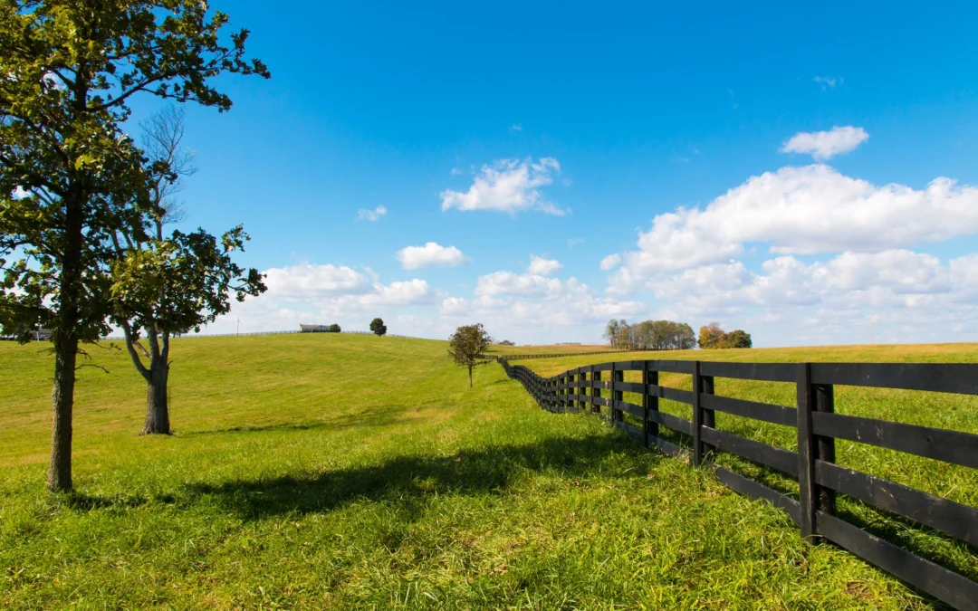 Horse Fence Height Requirements in Florida: What You Need to Know