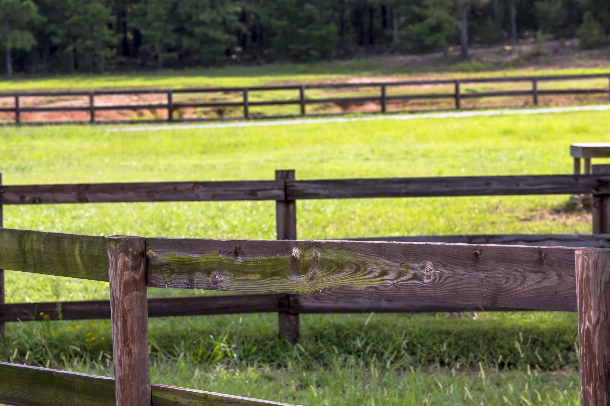 picture-of-a-meadow-with-wooden-horse-fencing